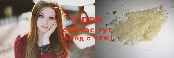 сатива Снежногорск