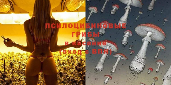 первитин Снежинск