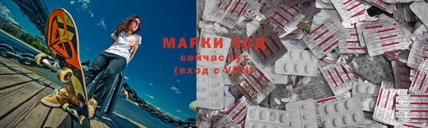сатива Снежногорск