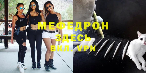 сатива Снежногорск